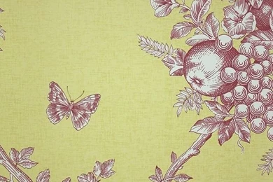 Fruit Bouquet Red On Yellow Toile Wallpapers