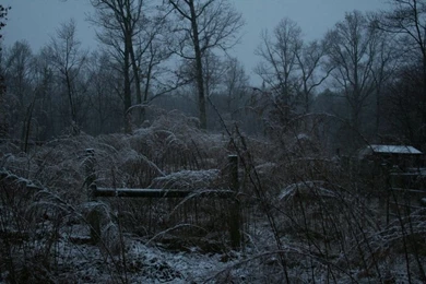 Redftaconko: Wallpapers 1900x1200