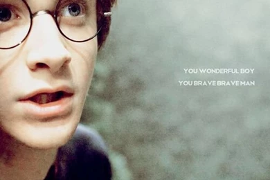 Cool, Fandom, Harry Potter, Hp, Iphone, Love, Me, The Boy Who ...