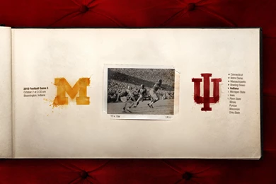 Good At Basketball – 2010 Game 5 – Michigan Football Fan Art