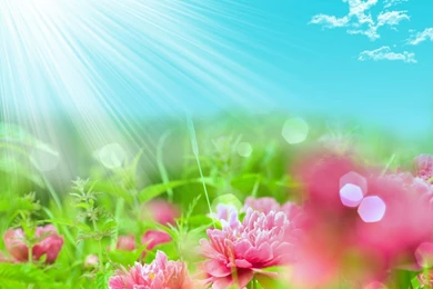 3d fantasy hd wallpapers free download.jpg