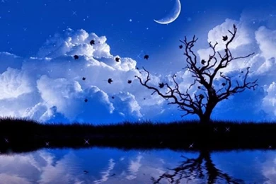 Rromantic Wallpapers Shayari,shayari Good Morning,latest Dard ...