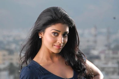 Shriya Saran South Indian Beautiful Actress HD Wallpapers