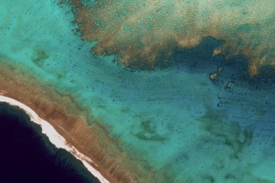 11 Android M Wallpapers