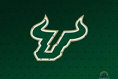 FREE USF WALLPAPER