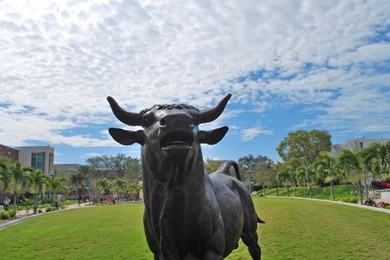 Installation Of The Bull On Harborwalk
