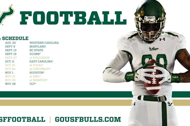 2014 Football Wallpapers   GoUSFBulls.com—Official Athletics Web ...