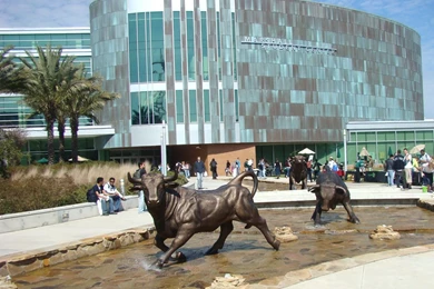 Tampa Florida Photos