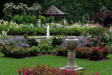 Wallpapers Gardens Rose Garden Of The Morris Arboretum ...