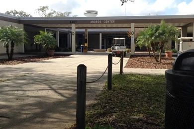 University Of South Florida   Various Locations (2)   YouTube