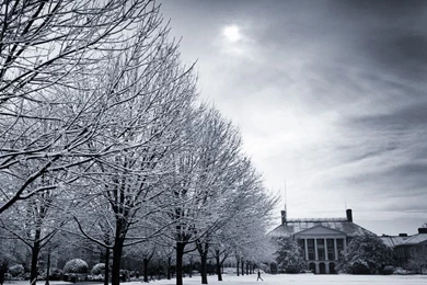 30 snow globe wallpaper 1.jpg