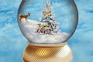 TIME FOR XMAS  Snow Globe By Aim4Beauty On DeviantArt