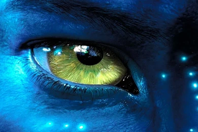 New Home For Ember Media Manager (Official Thread)