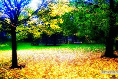 Nature Wallpaper,download Free Wallpaper,free Images