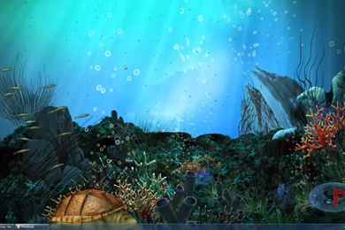 How To Use Video As A Desktop Backgrounds On Windows 7 Using ...