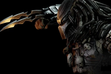 Predator Wallpapers 161261