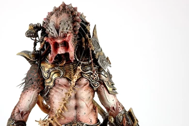 Predator Movie Hd Wallpapers 1920×1200 18529