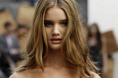 Julia Stiles Wallpapers