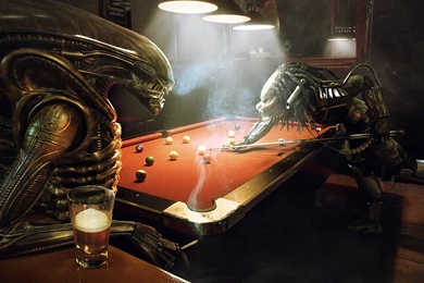 Alien Vs Predator Pool, Custom, 1920x1080 HD Wallpapers And FREE ...