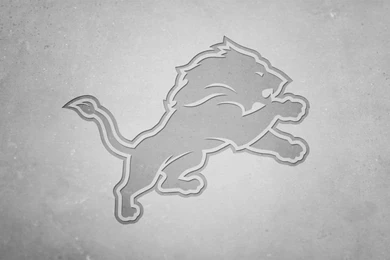 Detroit Lions iPad Retina Display Wallpapers By Thirty1photog On ...