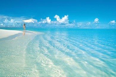 BEACH BACKGROUNDS WALF1056