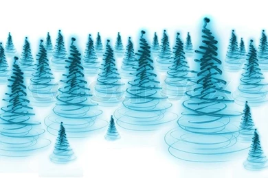 Winter Forest On The White Snow Backgrounds Backgrounds