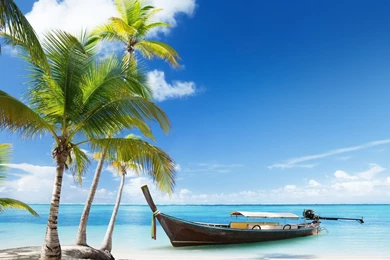 Free Summer Computer Backgrounds   Wallpapers Cave