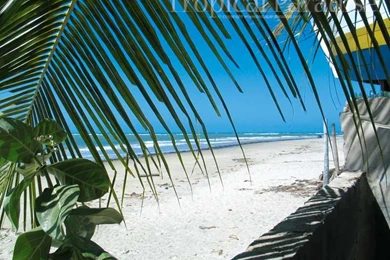 Free Best Wallpapers. Welcome To Tropical Paradise Free Wallpapers