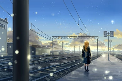 Snow Scene Wallpapers