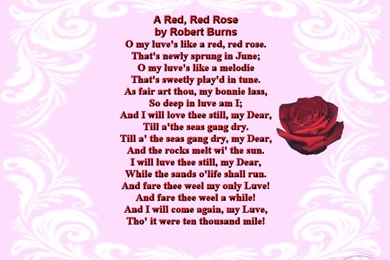 Download Free A Red Red Rose, A Red Red Rose 1 Download