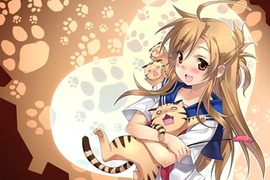 Cute Anime Cat People Wallpapers 2014