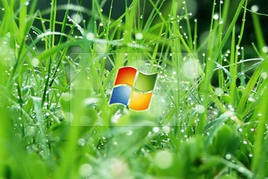Windows Glass Effect Wallpapers