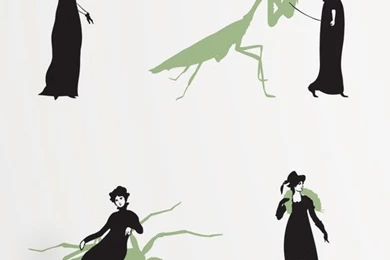 Ms. Ward Wallpaper, Mantis   Contemporary   Wallpapers   By Grow ...