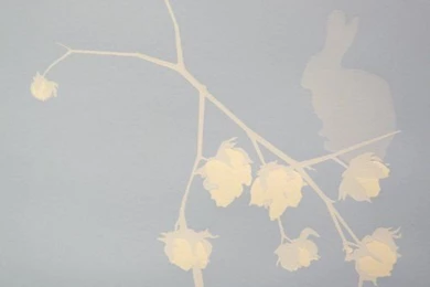 Icff 2012: Wallpapers