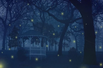 Fireflies Wallpapers By Peaches5189 On DeviantArt