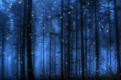 Lightning Bugs Wallpapers >> Backgrounds With Quality HD