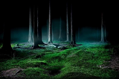 Download Fireflies Live Wallpapers For Android, Fireflies Live ...