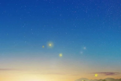 Firefly Mobile Wallpapers