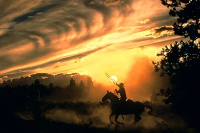 COUNTRY WALLPAPER   (