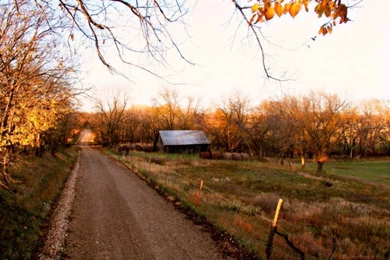 Country Road Wallpapers