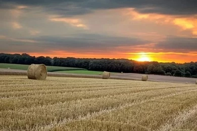 Photography On Pinterest