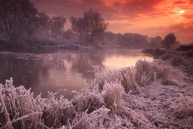 Great Wallpapers Elegant