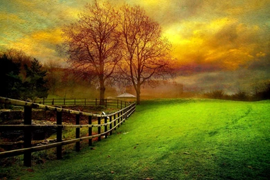 Country Yard At Dusk   (