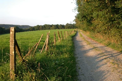 Country Road Wallpapers 2   Crazy Frankenstein