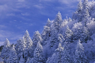 Smoky, Mountains, Background, Screensavers, Great, Images ...