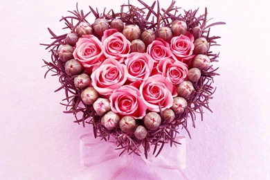 Love Flowers Wallpapers   Crazy Frankenstein