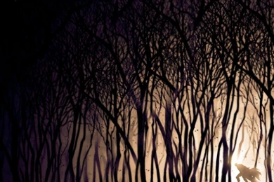 DARK TRANQUILITY WALLPAPER   (