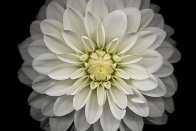 Download All The Latest IOS 8 Wallpapers For iPhone And IPad!