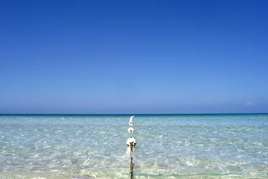 High Resolution Wallpapers Widescreen All Wallpapers New