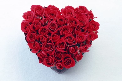 Free Wallpapers   Free Holiday Wallpapers   Valentine Day Episode 6 ...